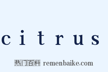 citrus是什么意思的图片